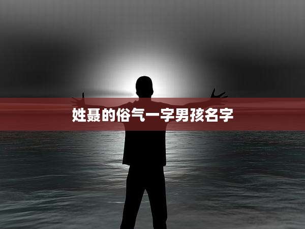 姓聂的俗气一字男孩名字