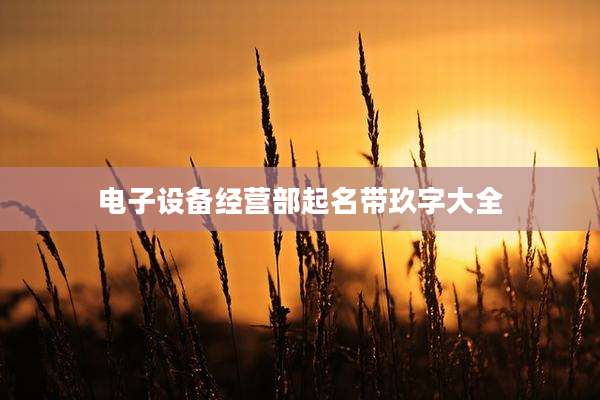 电子设备经营部起名带玖字大全