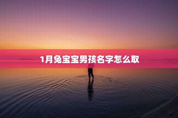 1月兔宝宝男孩名字怎么取