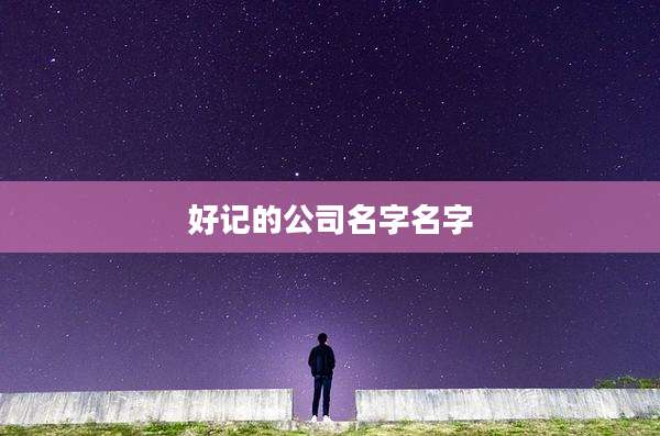好记的公司名字名字