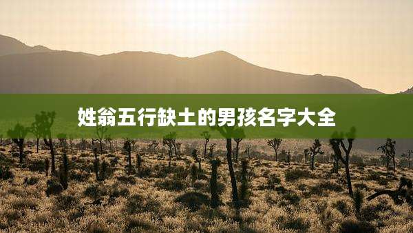 姓翁五行缺土的男孩名字大全