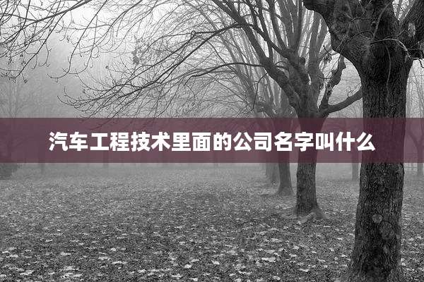 汽车工程技术里面的公司名字叫什么