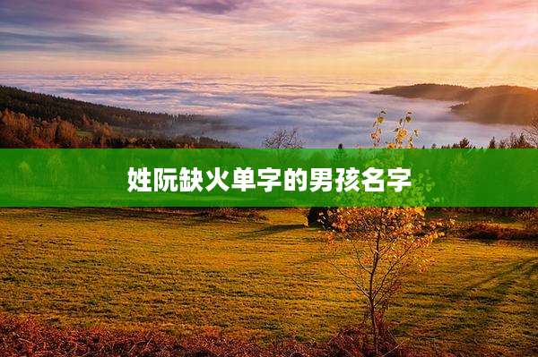 姓阮缺火单字的男孩名字
