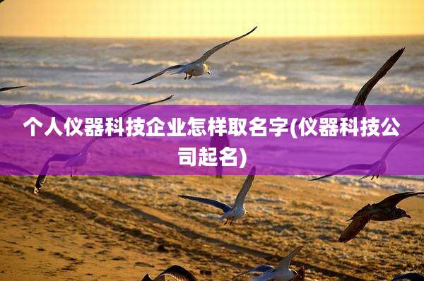 个人仪器科技企业怎样取名字(仪器科技公司起名)