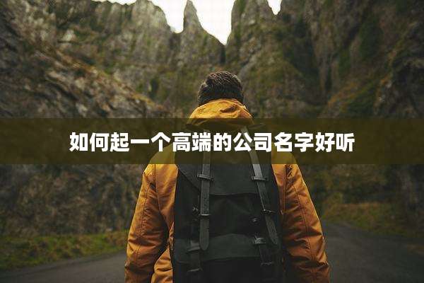如何起一个高端的公司名字好听