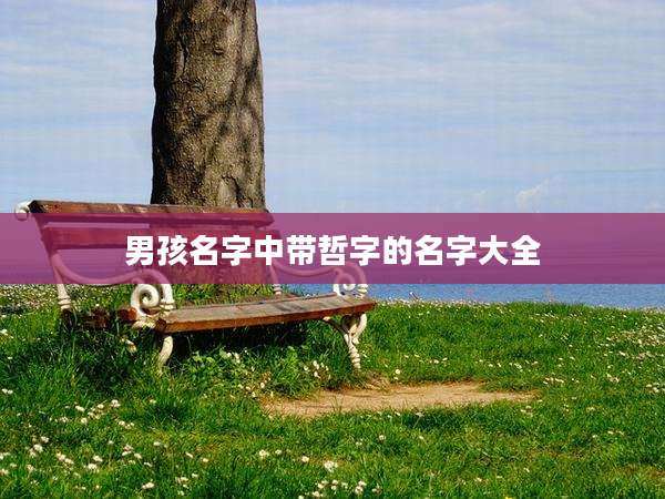 男孩名字中带哲字的名字大全
