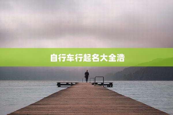 自行车行起名大全浩
