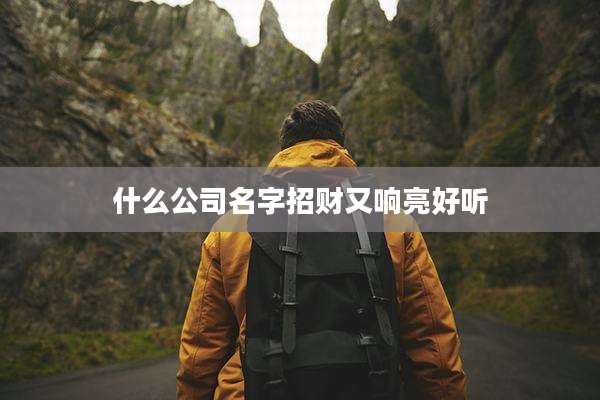 什么公司名字招财又响亮好听