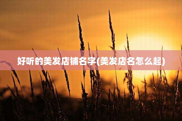 好听的美发店铺名字(美发店名怎么起)
