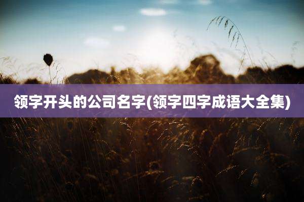 领字开头的公司名字(领字四字成语大全集)