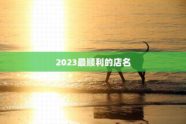 2023最顺利的店名