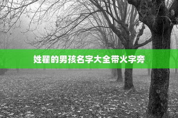 姓翟的男孩名字大全带火字旁