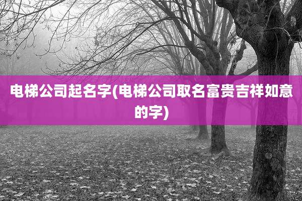 电梯公司起名字(电梯公司取名富贵吉祥如意的字)
