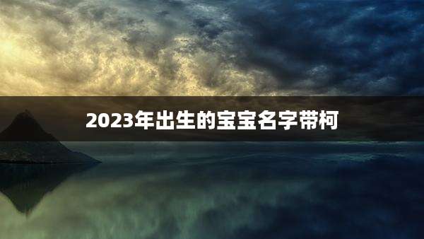 2023年出生的宝宝名字带柯