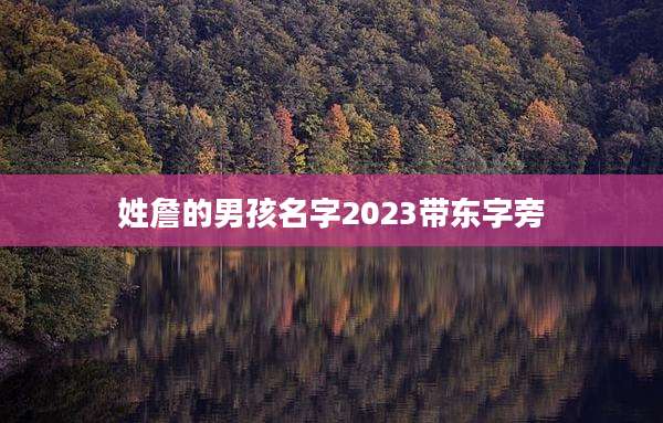 姓詹的男孩名字2023带东字旁