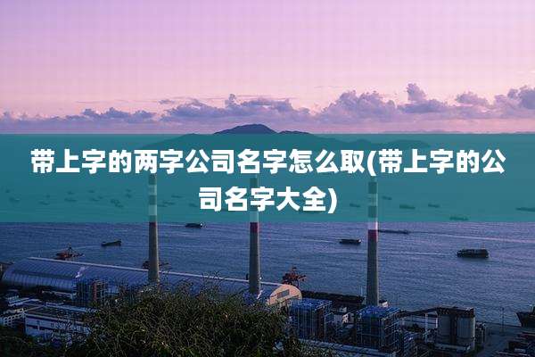 带上字的两字公司名字怎么取(带上字的公司名字大全)