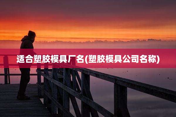 适合塑胶模具厂名(塑胶模具公司名称)