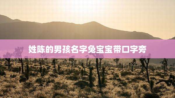 姓陈的男孩名字兔宝宝带口字旁