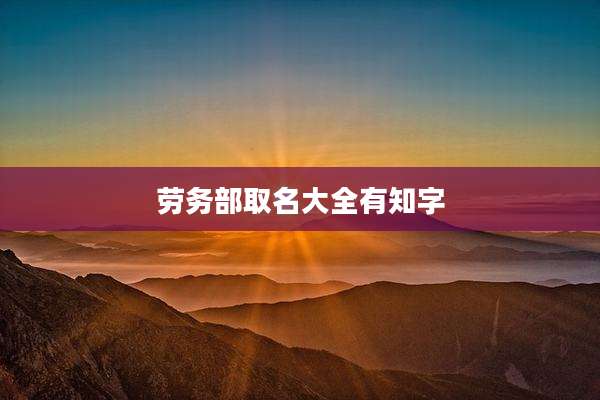 劳务部取名大全有知字