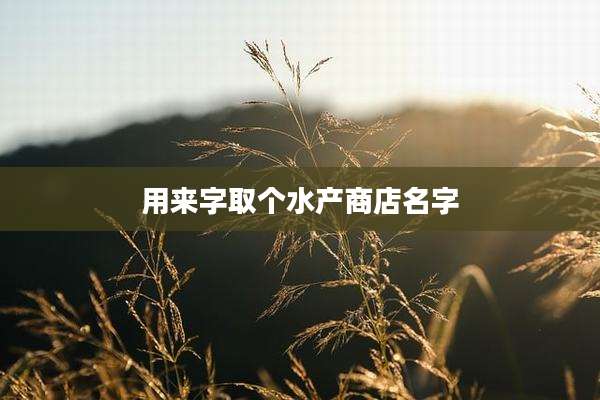 用来字取个水产商店名字