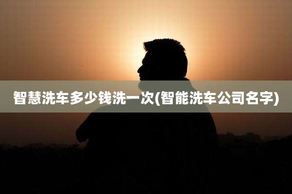 智慧洗车多少钱洗一次(智能洗车公司名字)