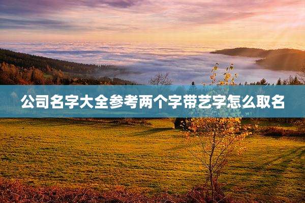 公司名字大全参考两个字带艺字怎么取名