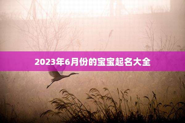 2023年6月份的宝宝起名大全