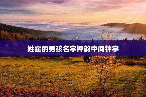 姓霍的男孩名字押韵中间钟字
