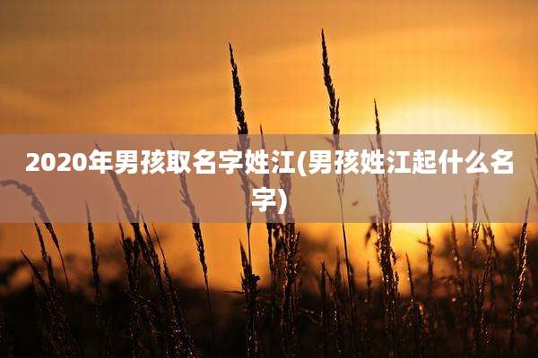2020年男孩取名字姓江(男孩姓江起什么名字)