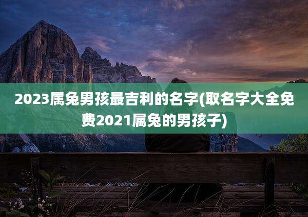 2023属兔男孩最吉利的名字(取名字大全免费2021属兔的男孩子)