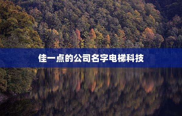 佳一点的公司名字电梯科技