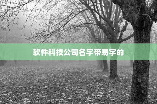 软件科技公司名字带易字的