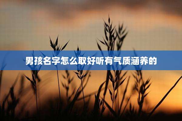 男孩名字怎么取好听有气质涵养的