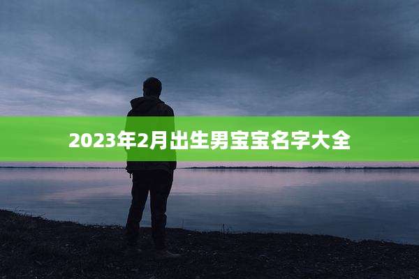 2023年2月出生男宝宝名字大全