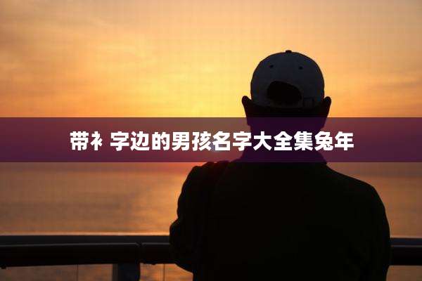 带衤字边的男孩名字大全集兔年