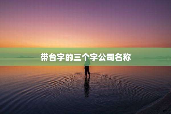 带台字的三个字公司名称