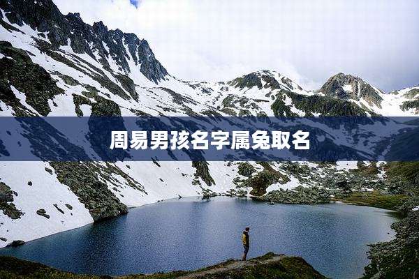周易男孩名字属兔取名