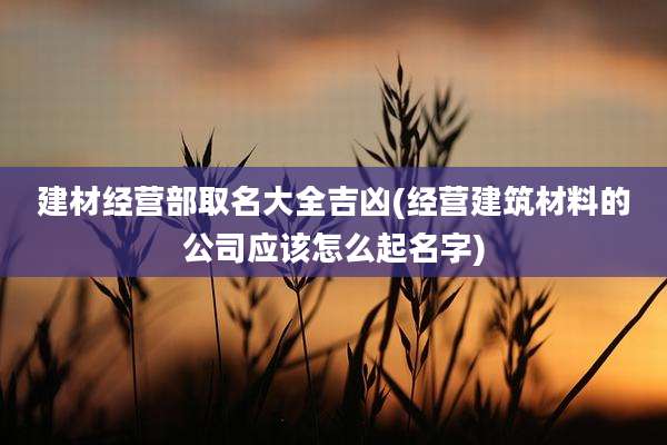 建材经营部取名大全吉凶(经营建筑材料的公司应该怎么起名字)