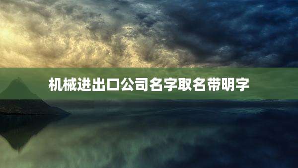 机械进出口公司名字取名带明字