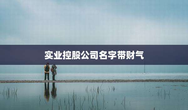 实业控股公司名字带财气
