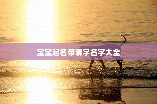 宝宝起名带清字名字大全