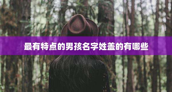 最有特点的男孩名字姓盖的有哪些