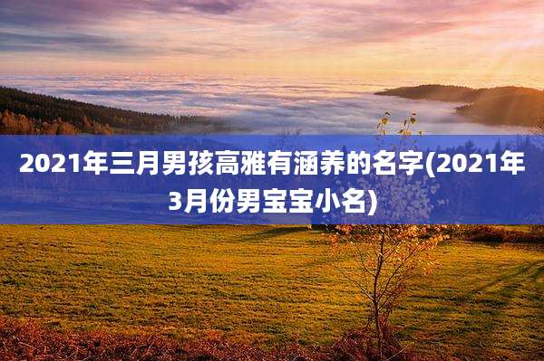 2021年三月男孩高雅有涵养的名字(2021年3月份男宝宝小名)