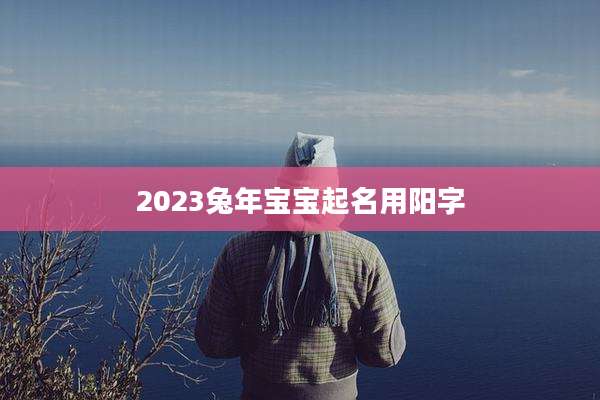 2023兔年宝宝起名用阳字