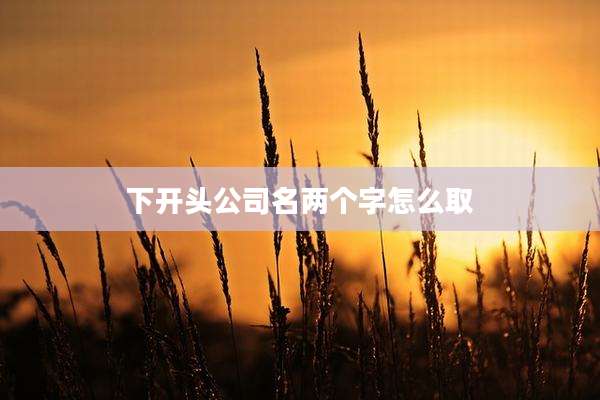 下开头公司名两个字怎么取