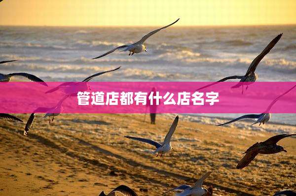 管道店都有什么店名字