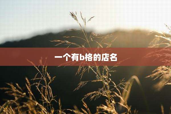一个有b格的店名