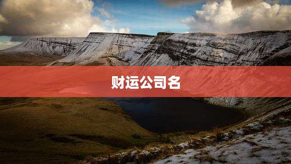 财运公司名