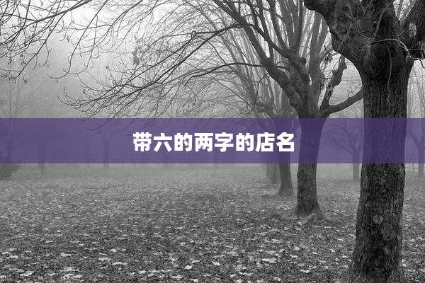 带六的两字的店名