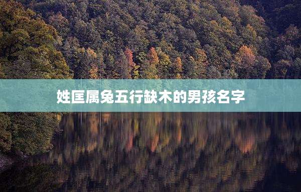 姓匡属兔五行缺木的男孩名字